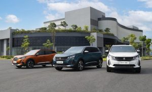 peugeot dep 1206